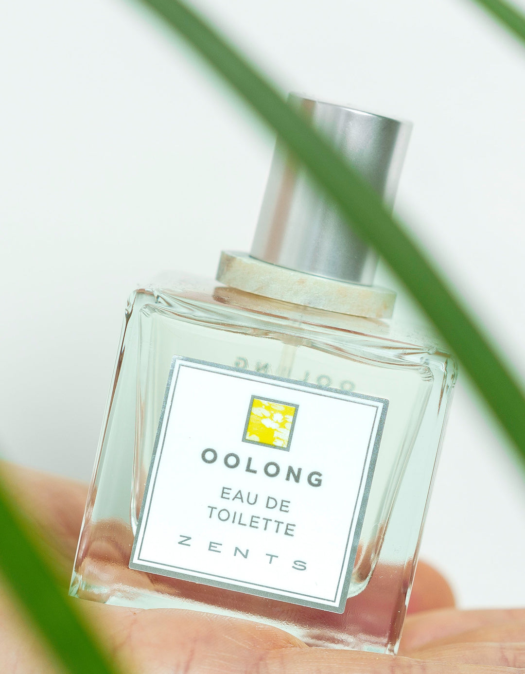 Our Favorite Layered Fragrance Combos for Spring