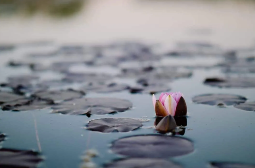 Rewiring Your Mind and Body for Positivity in Tough Times: A Guide from Cord Coen