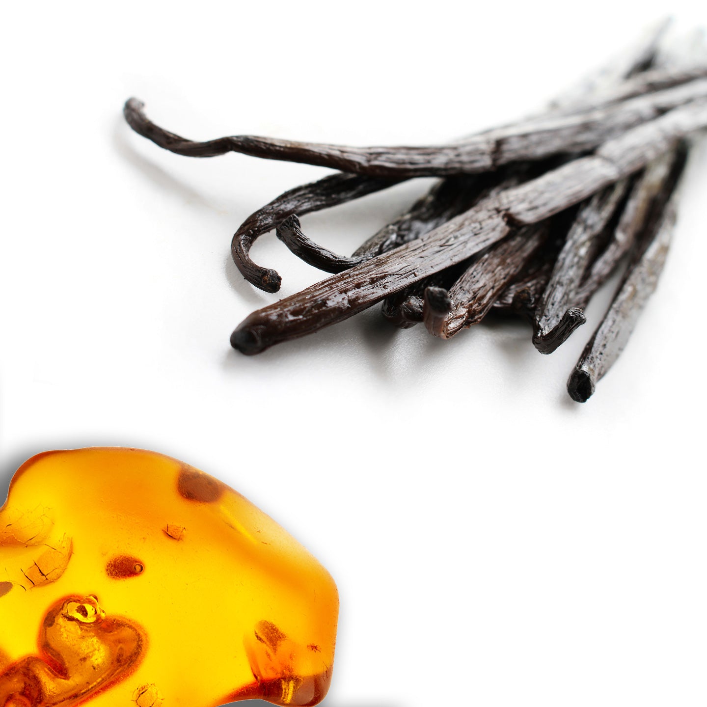 Sun Age Defying Probiotic Lotion